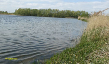 Angelbericht unseres Mitglieds Paul E. – Westensee und Allermöher See
