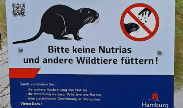Einsammeln toter Tiere in Hamburg